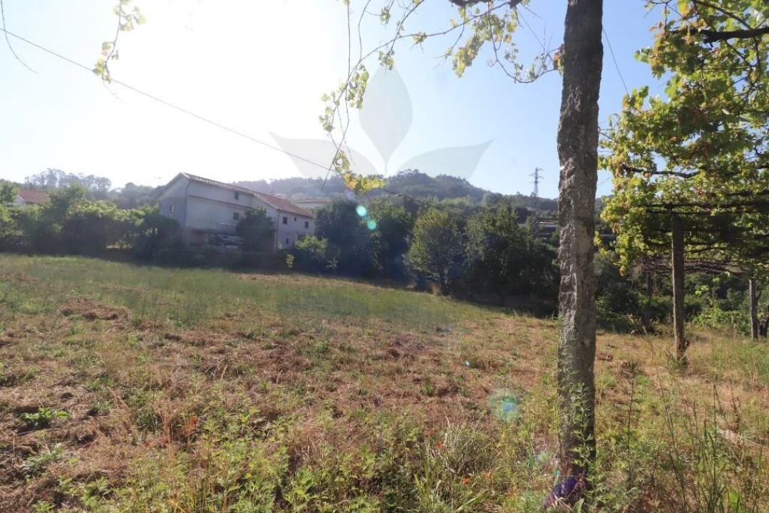Terreno para Venda em Pico de Regalados, Gondiães e Mós Foto 10