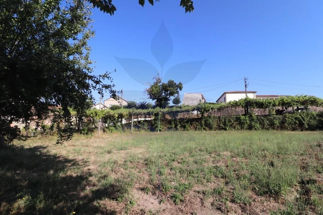 Terreno para Venda em Pico de Regalados, Gondiães e Mós Foto 1