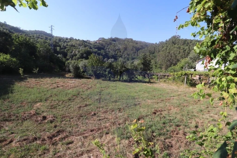 Terreno para Venda em Pico de Regalados, Gondiães e Mós Foto 6