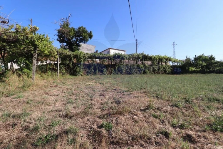 Terreno para Venda em Pico de Regalados, Gondiães e Mós Foto 8