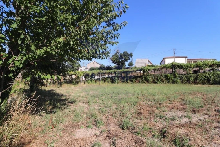 Terreno para Venda em Pico de Regalados, Gondiães e Mós Foto 7
