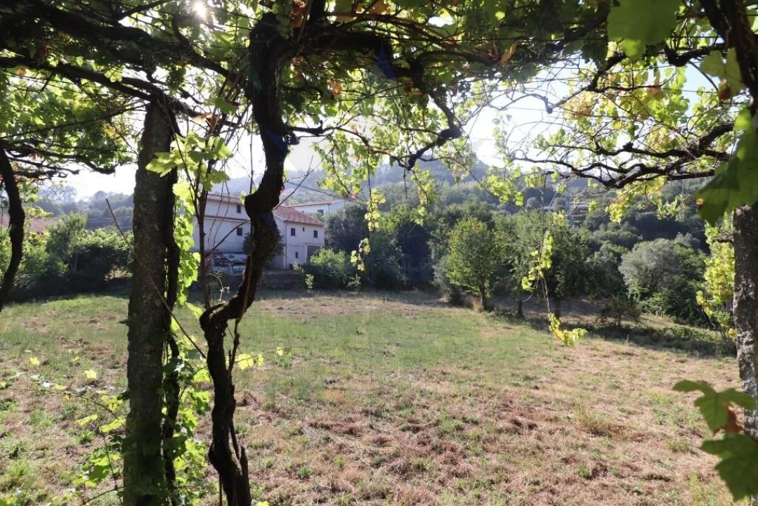 Terreno para Venda em Pico de Regalados, Gondiães e Mós Foto 4