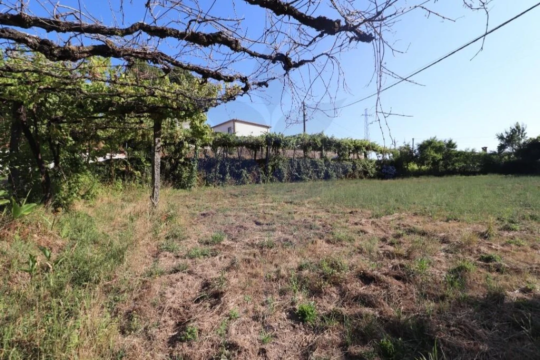 Terreno para Venda em Pico de Regalados, Gondiães e Mós Foto 9