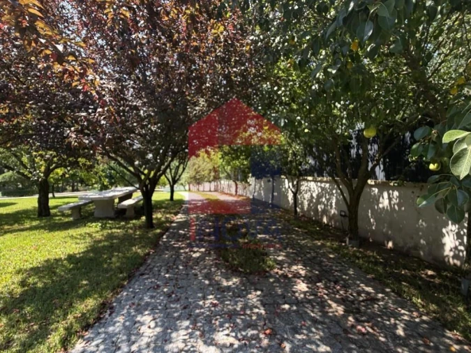 Moradia T3 para Venda em Marrancos e Arcozelo Foto 41