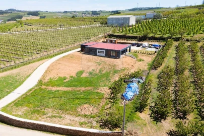 Moradia T3 para Venda em Santa Cruz