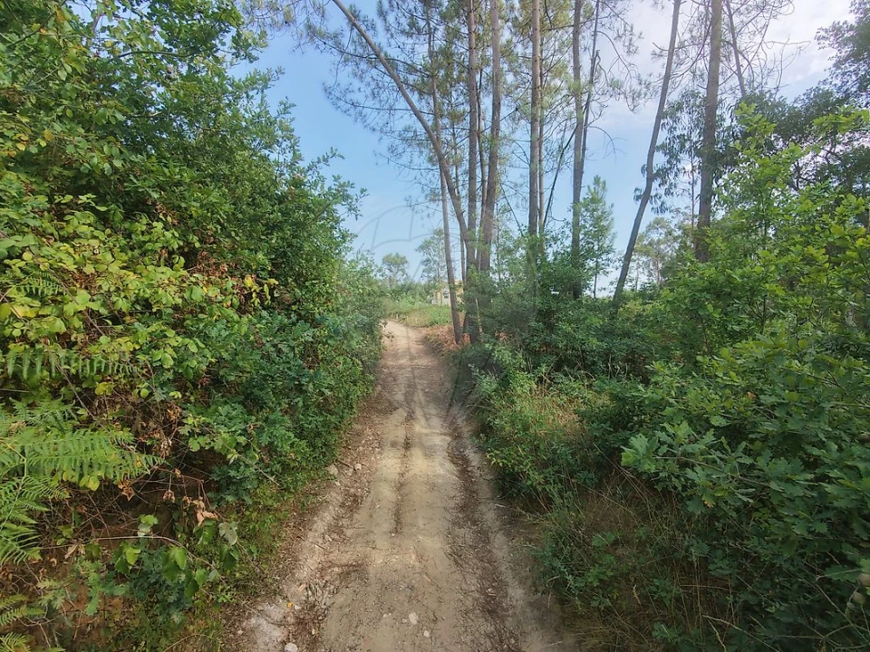 Terreno para Venda em Milheiros de Poiares Foto 13