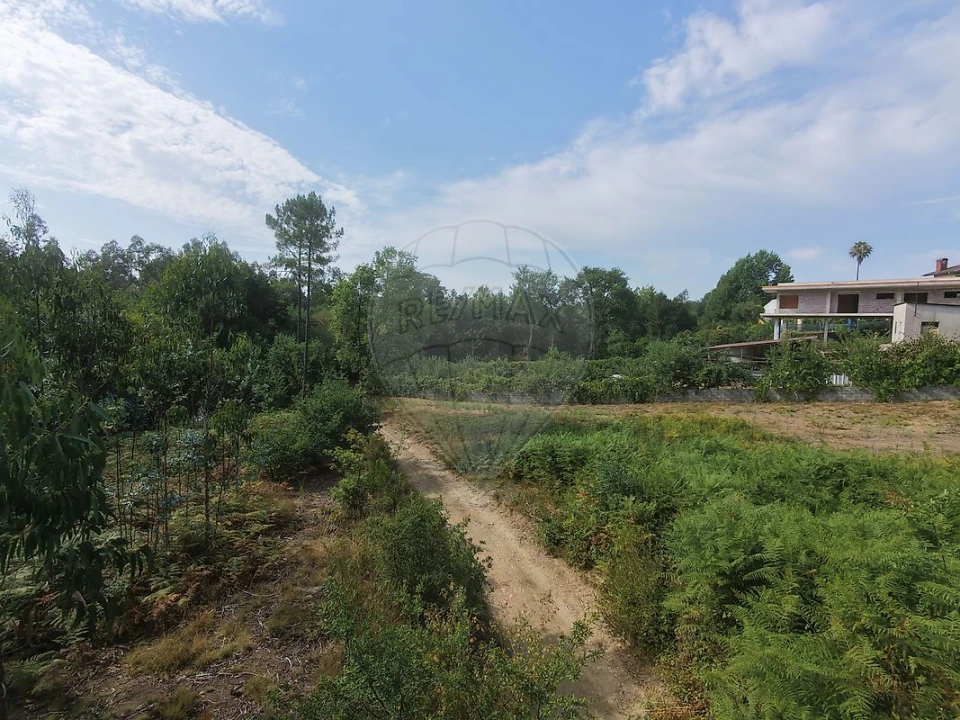 Terreno para Venda em Milheiros de Poiares Foto 1