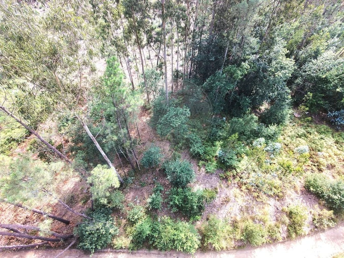 Terreno para Venda em Milheiros de Poiares Foto 14