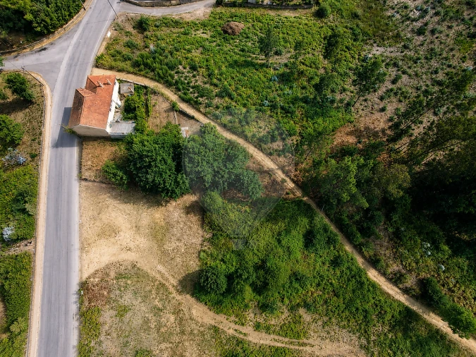 Terreno para Venda em Milheiros de Poiares Foto 5