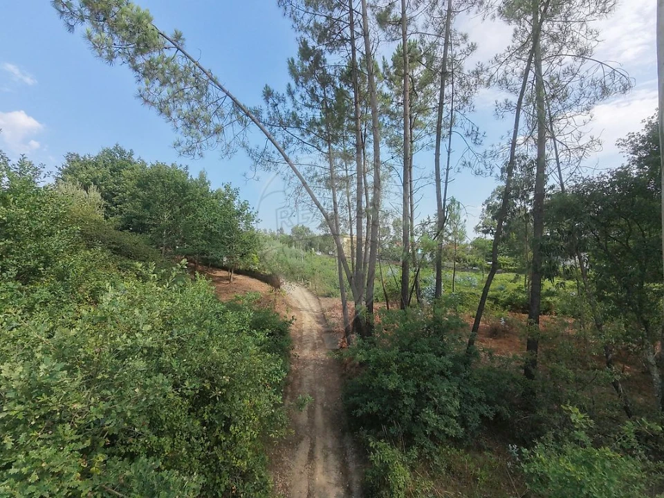 Terreno para Venda em Milheiros de Poiares Foto 10
