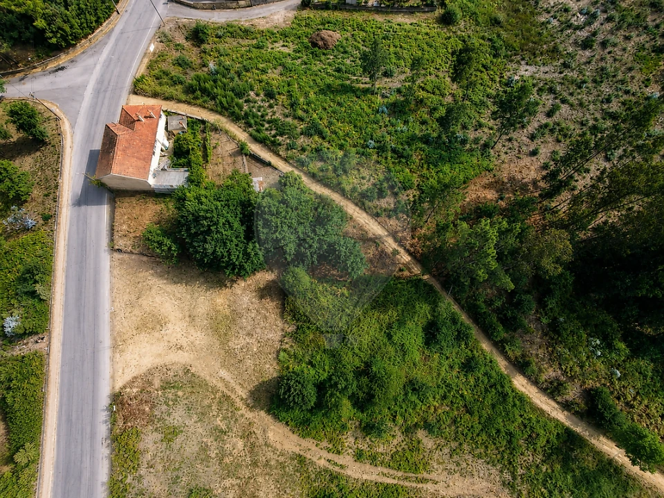 Terreno para Venda em Milheiros de Poiares Foto 5