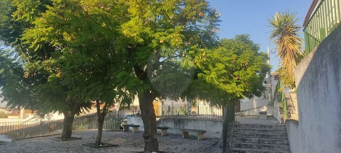 Prédio para Venda em Azambuja Foto 6