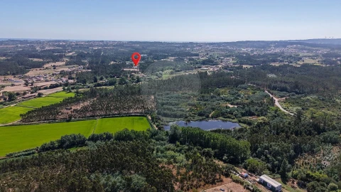 Terreno para Venda em Alhadas