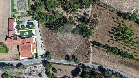Terreno para Venda em Alhadas