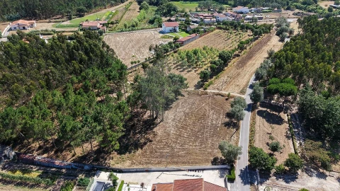 Terreno para Venda em Alhadas