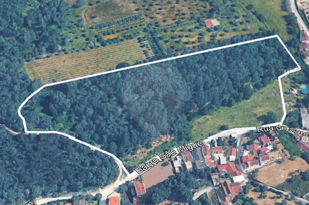 Terreno para Venda em Ançã Foto 8