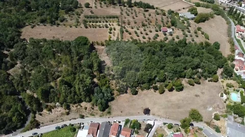 Terreno para Venda em Ançã