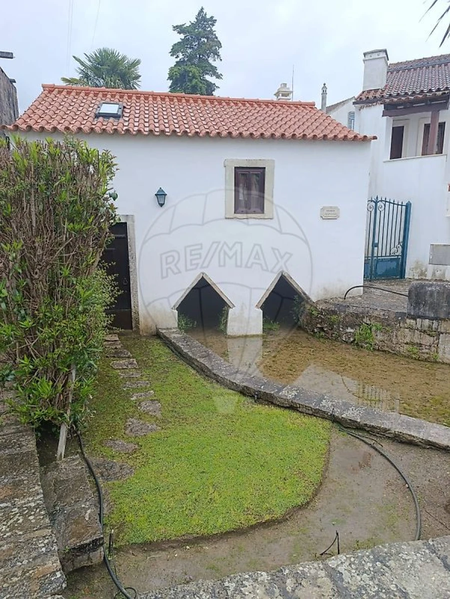 Terreno para Venda em Ançã Foto 4