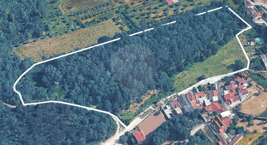 Terreno para Venda em Ançã Foto 9