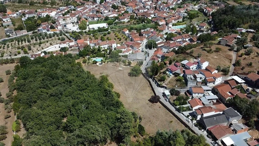 Terreno para Venda em Ançã Foto 13
