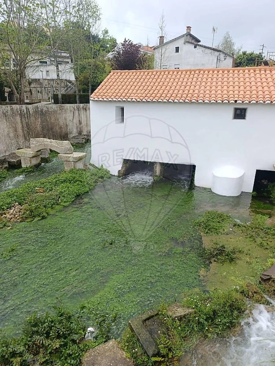 Terreno para Venda em Ançã Foto 6