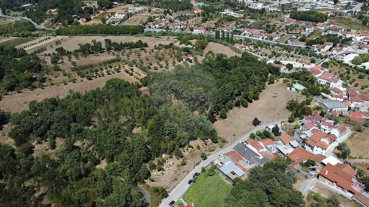 Terreno para Venda em Ançã Foto 15