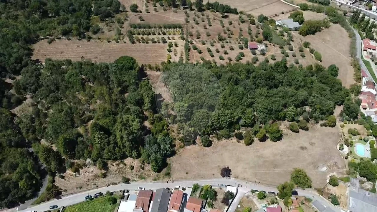 Terreno para Venda em Ançã Foto 12