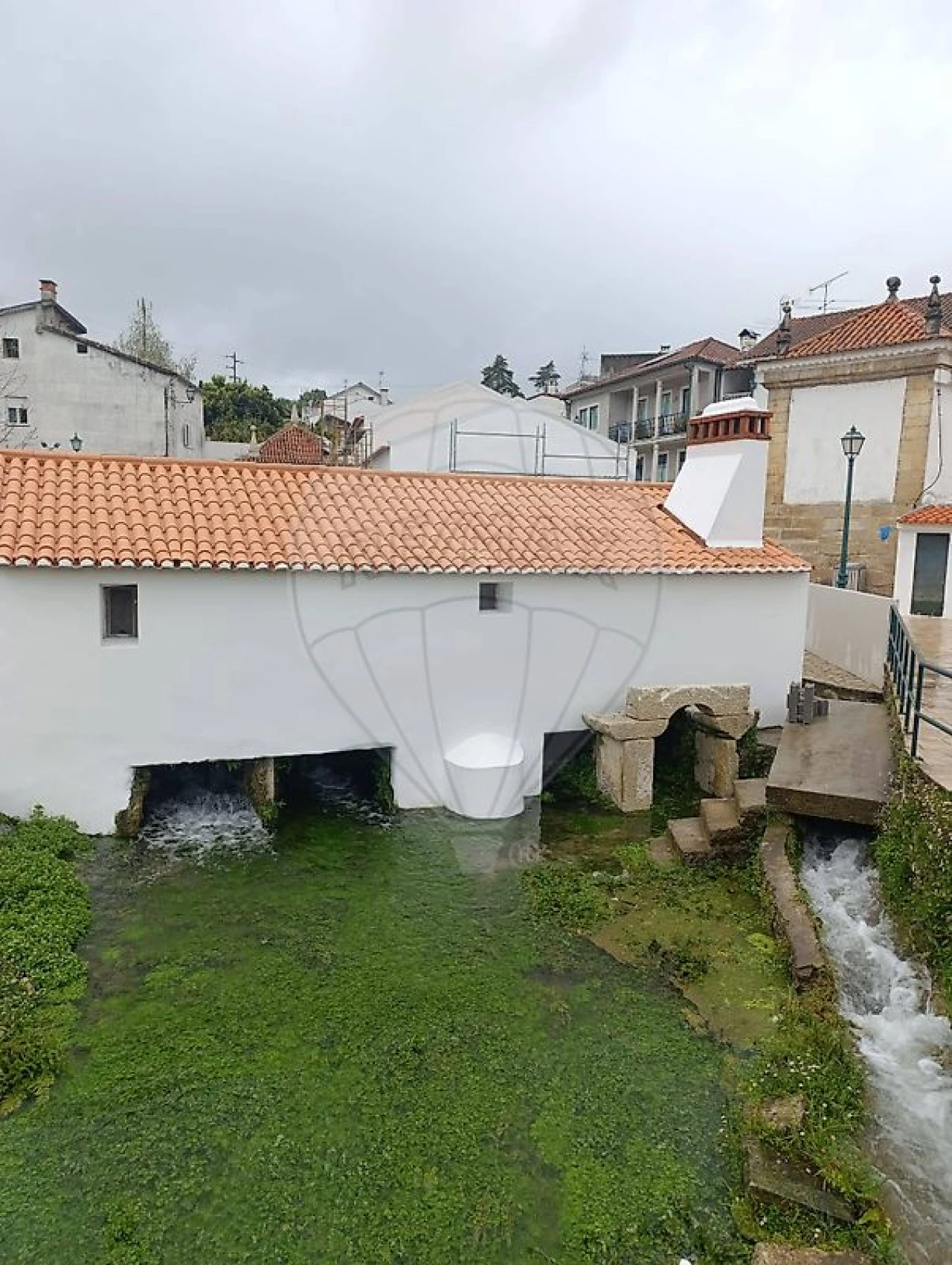 Terreno para Venda em Ançã Foto 9