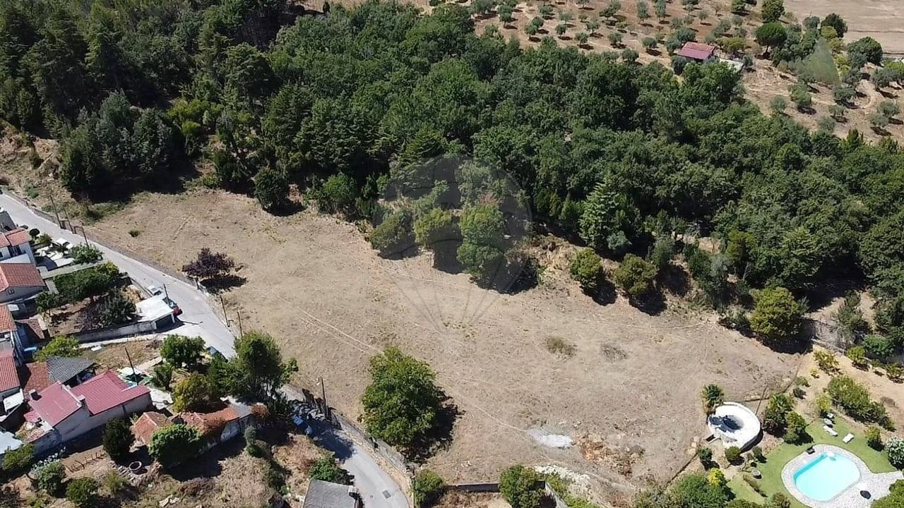 Terreno para Venda em Ançã Foto 11