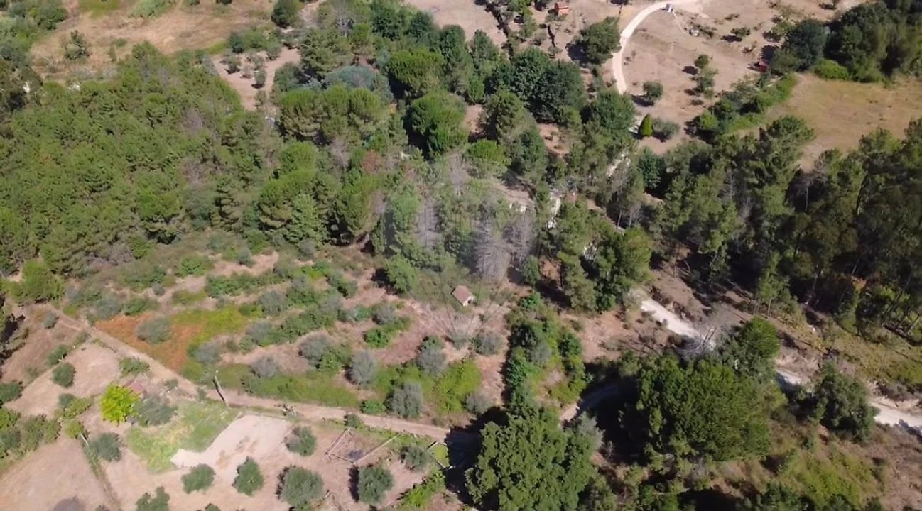 Terreno para Venda em Midões Foto 2