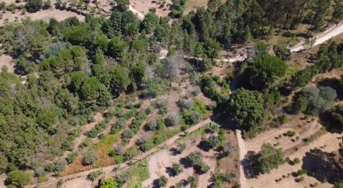 Terreno para Venda em Midões