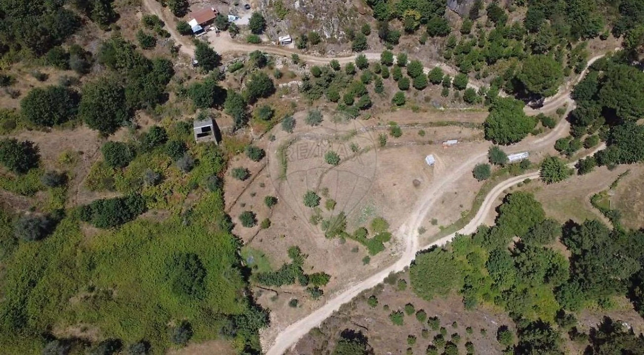 Terreno para Venda em Midões Foto 6
