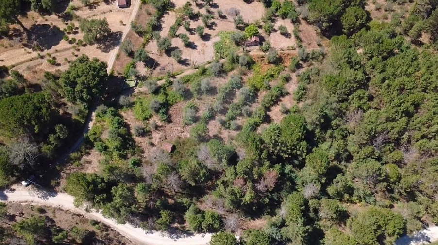 Terreno para Venda em Midões Foto 3