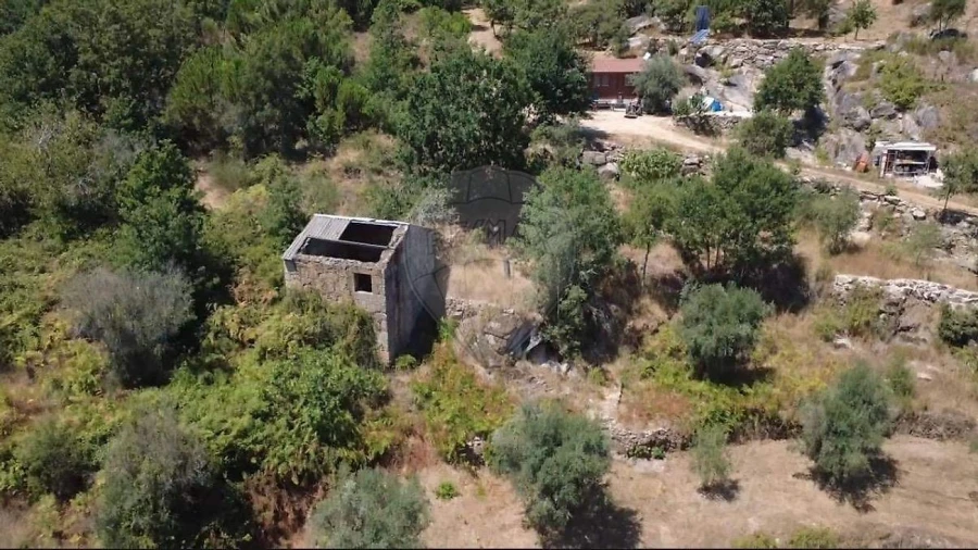 Terreno para Venda em Midões Foto 12