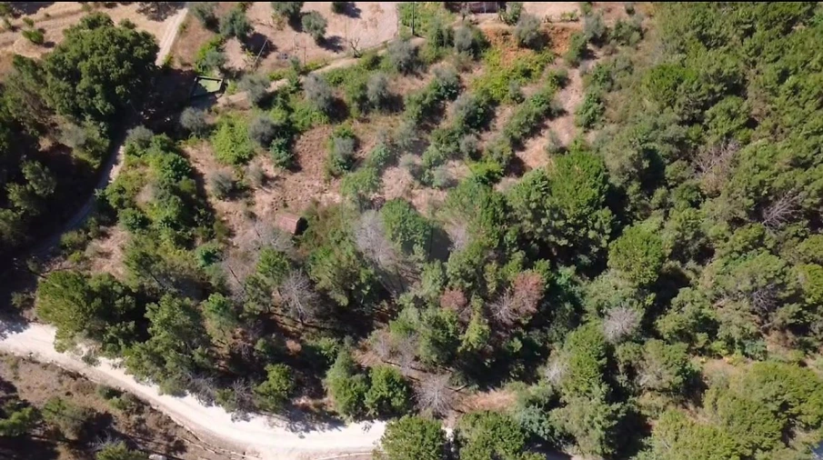 Terreno para Venda em Midões Foto 5