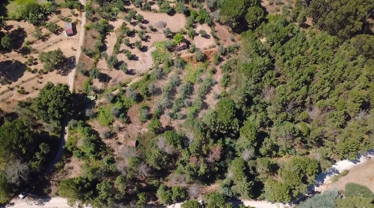 Terreno para Venda em Midões Foto 1