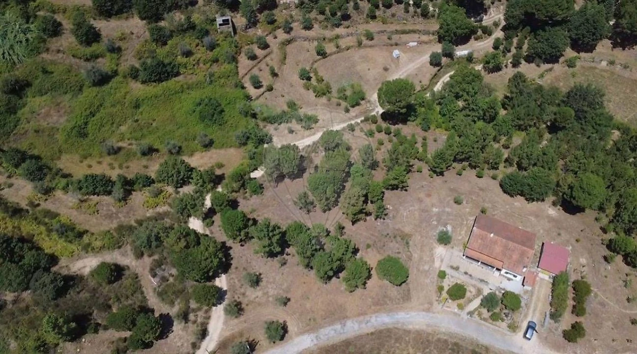 Terreno para Venda em Midões Foto 8