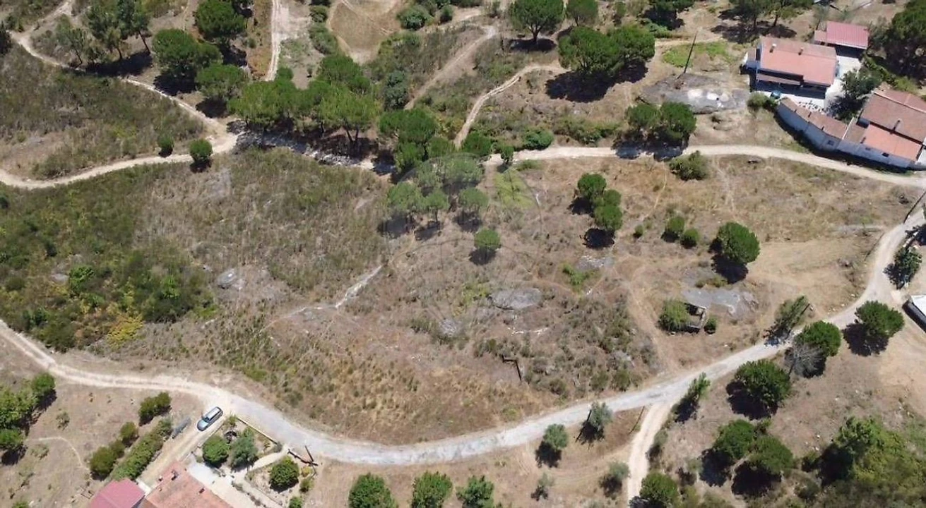 Terreno para Venda em Midões Foto 7