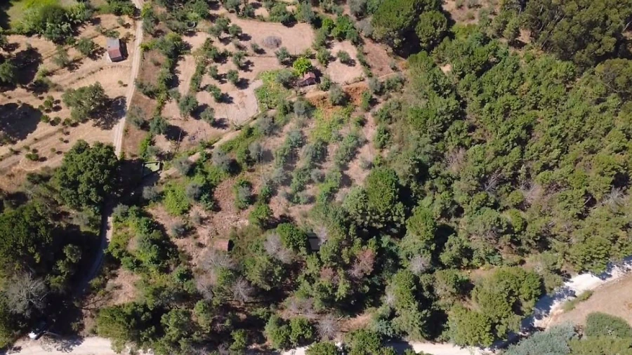 Terreno para Venda em Midões