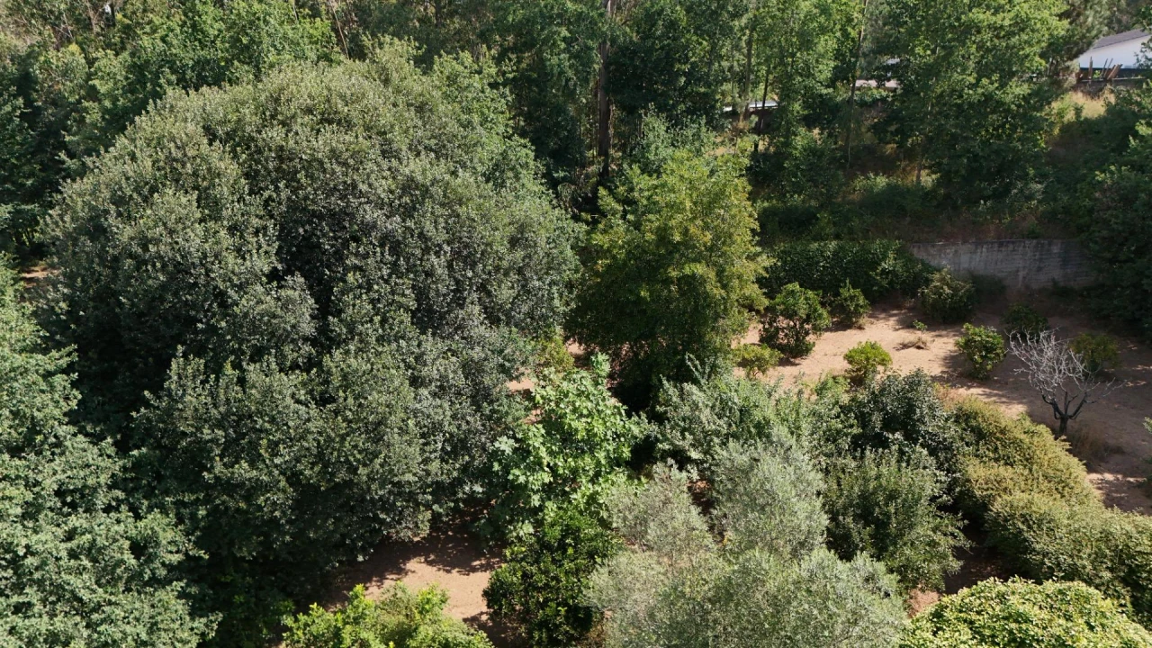 Moradia para Venda em Marrancos e Arcozelo Foto 19