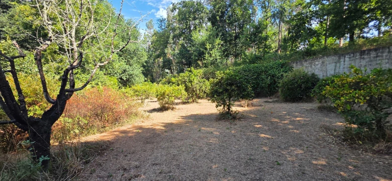 Moradia para Venda em Marrancos e Arcozelo Foto 31