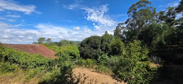 Moradia para Venda em Marrancos e Arcozelo