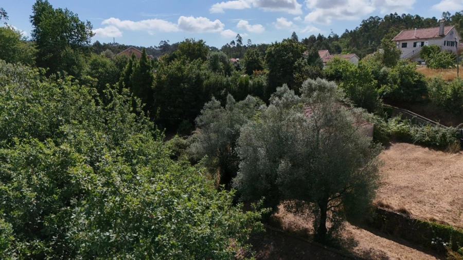 Moradia para Venda em Marrancos e Arcozelo Foto 16