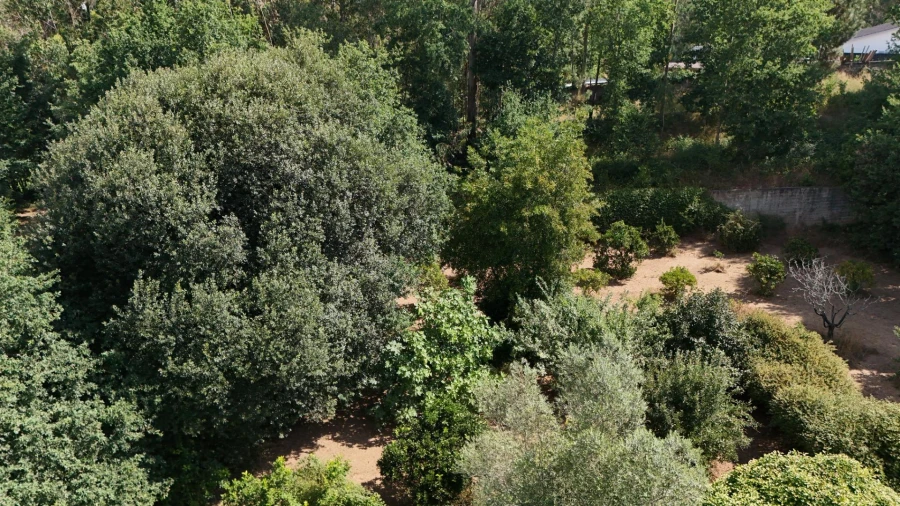 Moradia para Venda em Marrancos e Arcozelo Foto 19