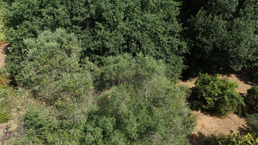 Moradia para Venda em Marrancos e Arcozelo Foto 21