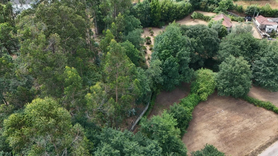 Moradia para Venda em Marrancos e Arcozelo Foto 25