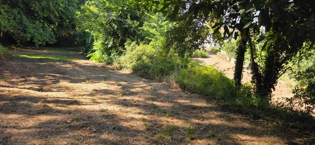 Moradia para Venda em Marrancos e Arcozelo Foto 30