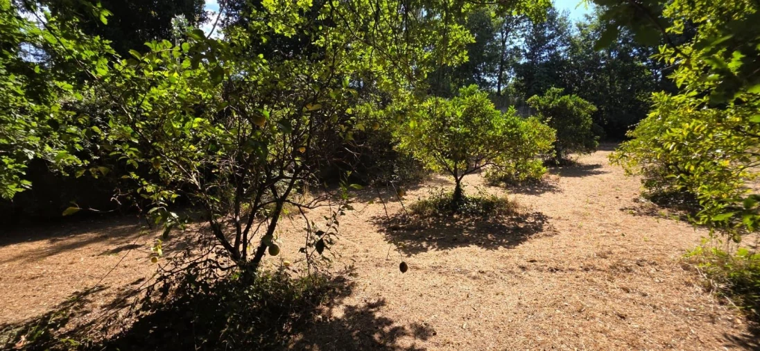 Moradia para Venda em Marrancos e Arcozelo Foto 34