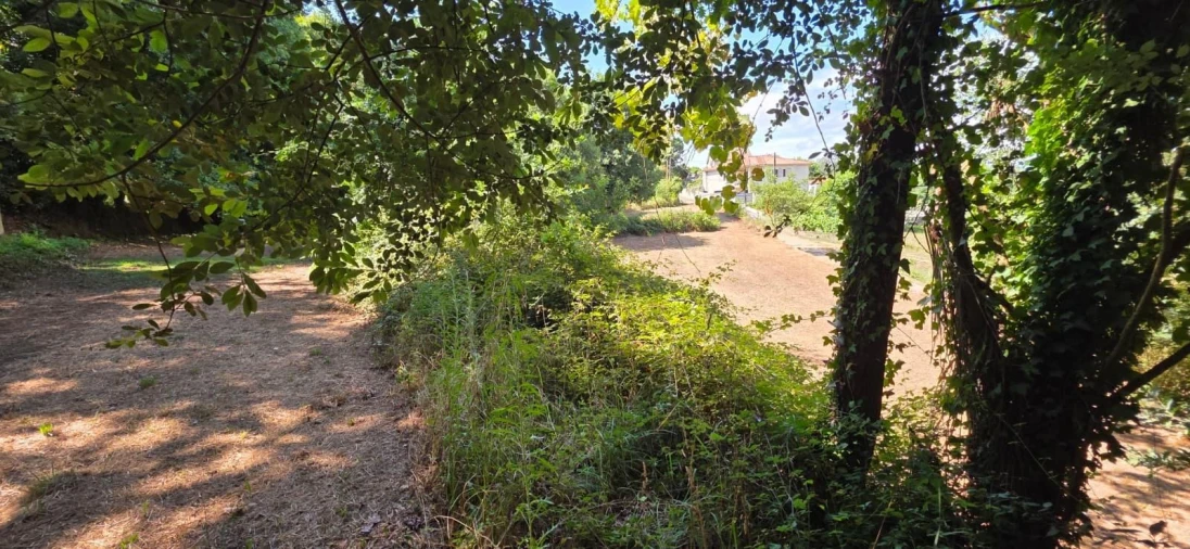 Moradia para Venda em Marrancos e Arcozelo Foto 39