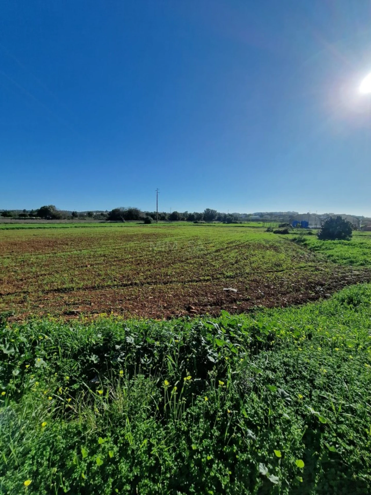 Moradia T1 para Venda em Odiaxere Foto 16